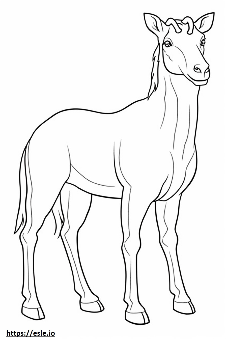 Cashmere Goat leikkii värityskuva