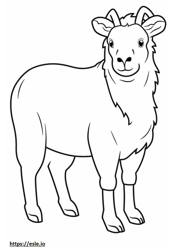 Caxemira Cabra Kawaii para colorir
