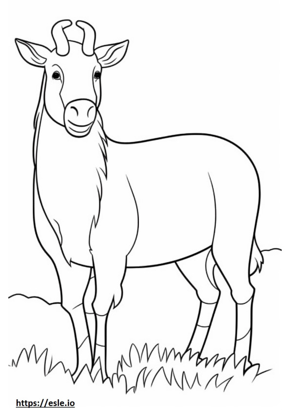 Coloriage Cachemire adapté aux chèvres à imprimer