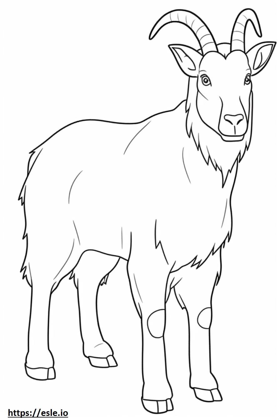 Cashmere Goat Friendly coloring page
