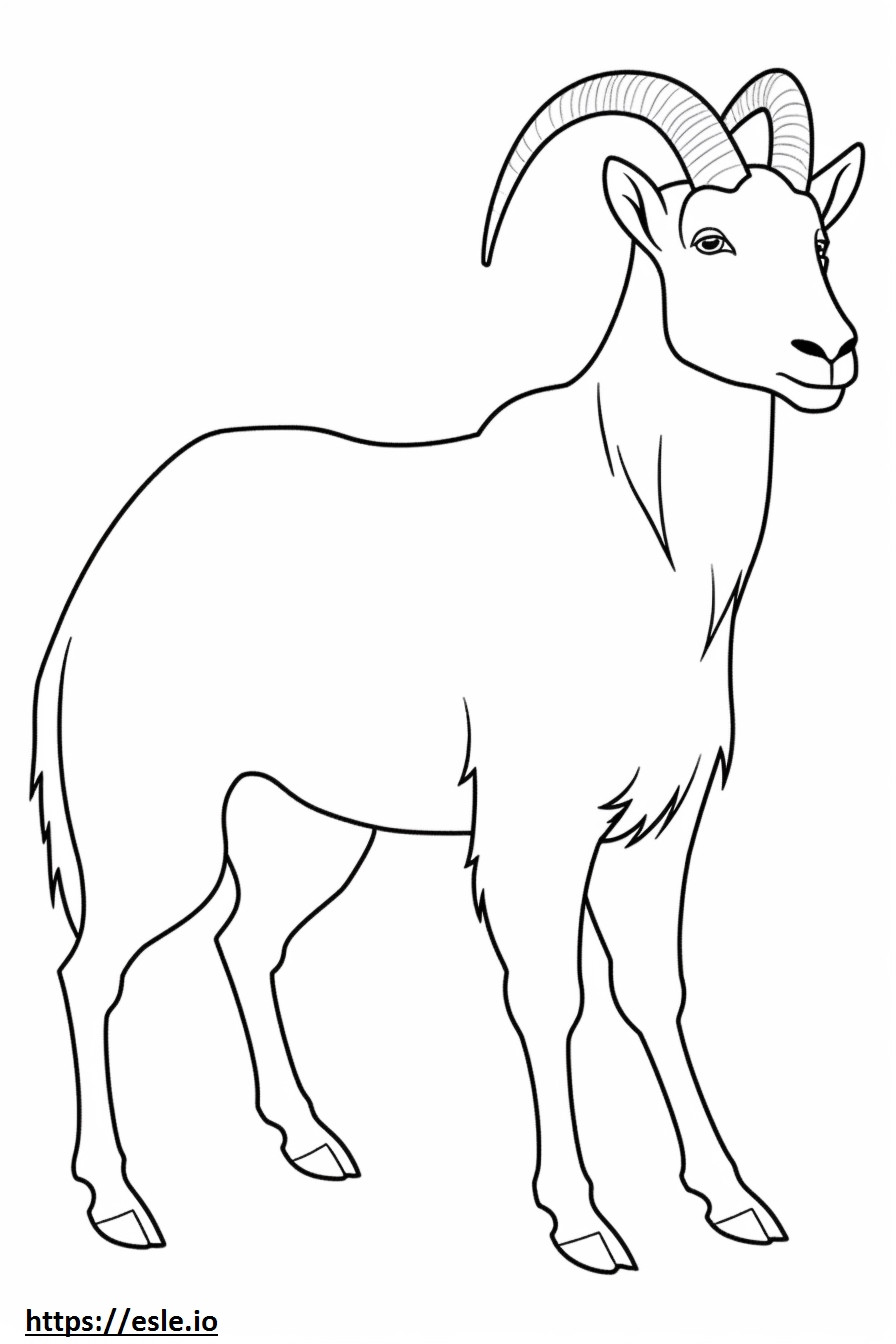 Kaszmirowy, przyjazny dla kóz kolorowanka