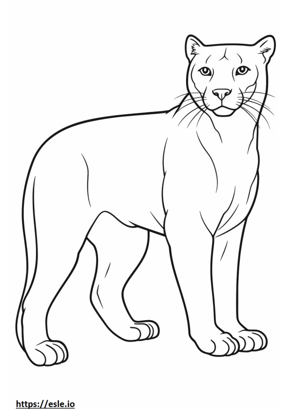 Cat full body coloring page