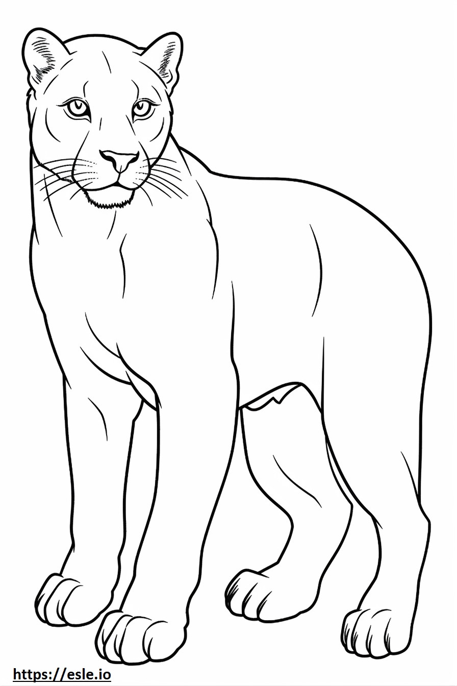 Cat cartoon coloring page