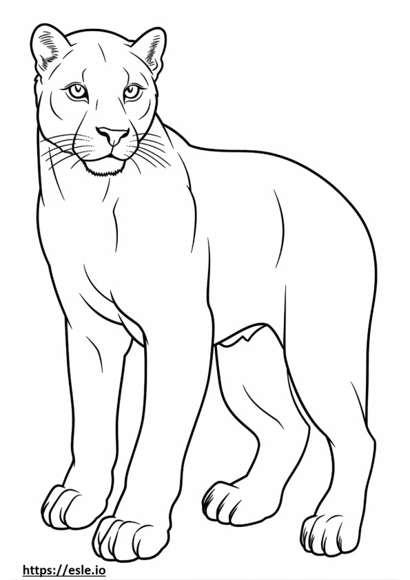 Kreskówka kot kolorowanka