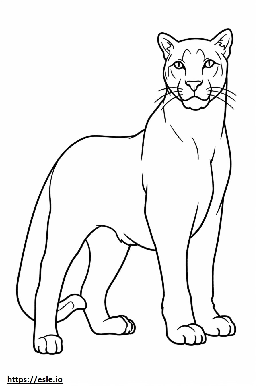 Cat cartoon coloring page