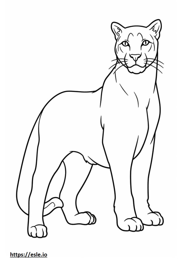 Desenho de gato para colorir