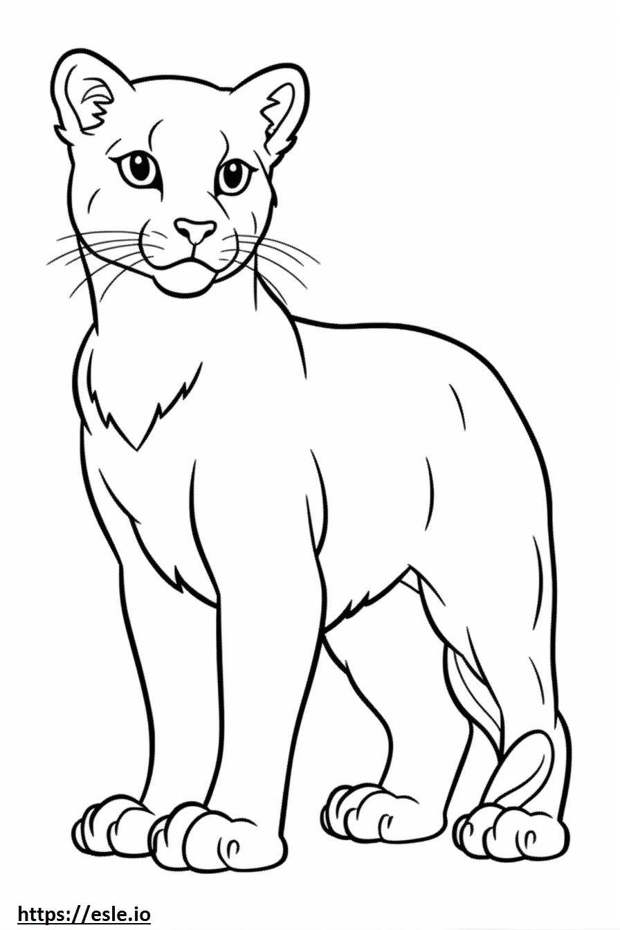 Cat cute coloring page