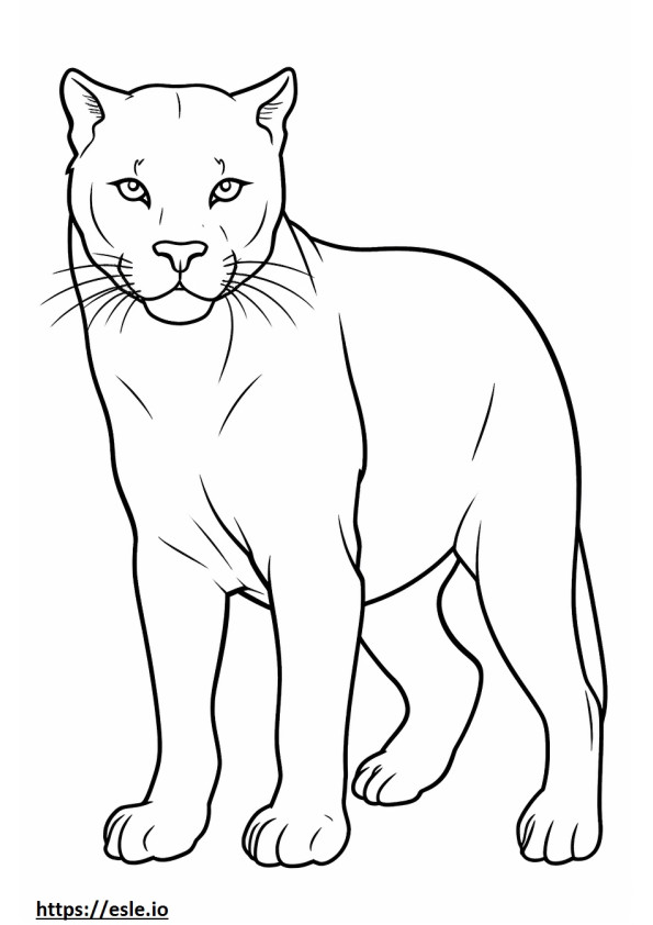 Cat cute coloring page