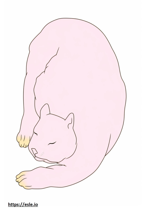 Cat Sleeping coloring page