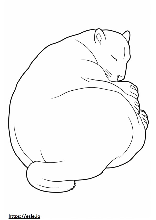 Cat Sleeping coloring page