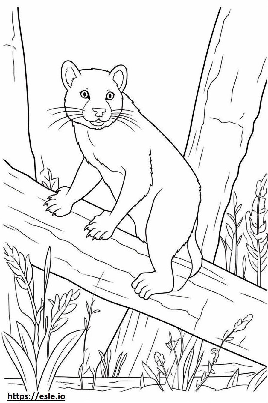 Cat Playing coloring page