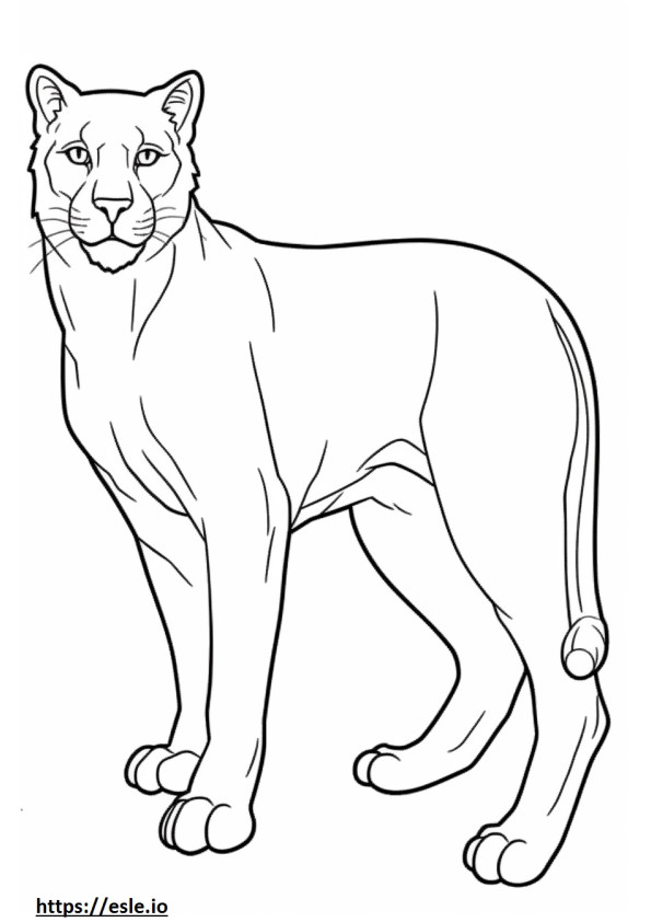 Cat Playing coloring page