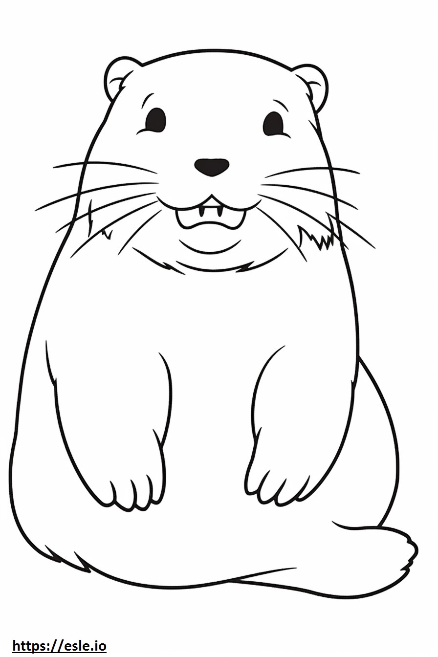 Cat Kawaii coloring page