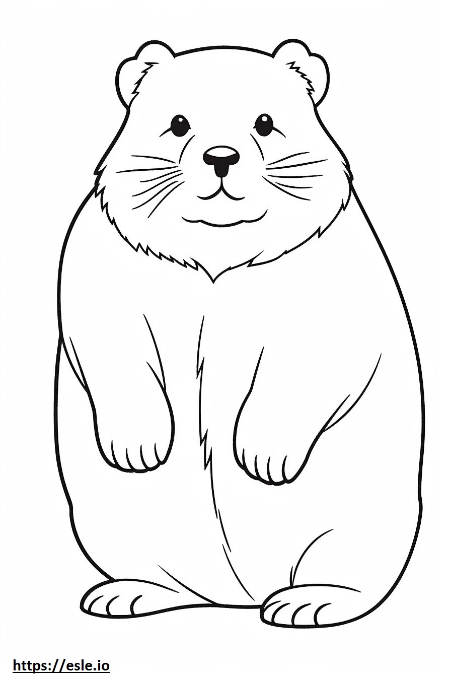 Gato Kawaii para colorir