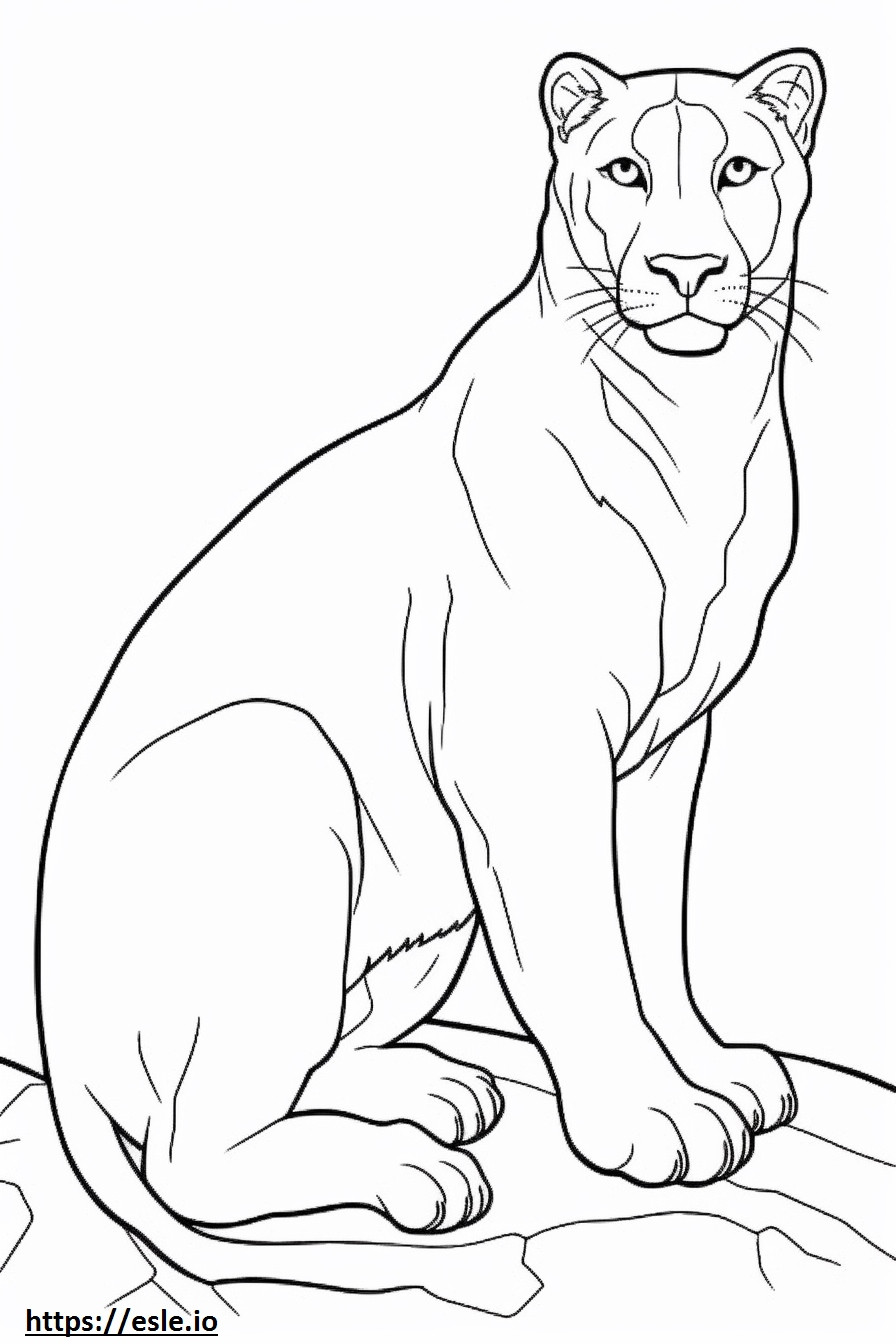 Cat Friendly coloring page