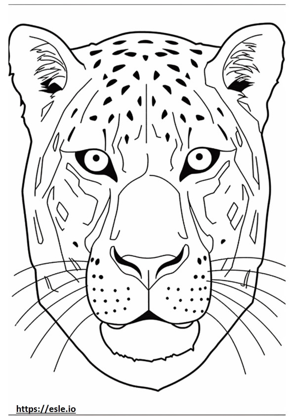 Cara de leopardo Catahoula para colorir