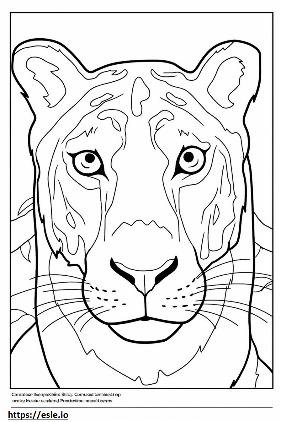 Cara de leopardo Catahoula para colorear e imprimir