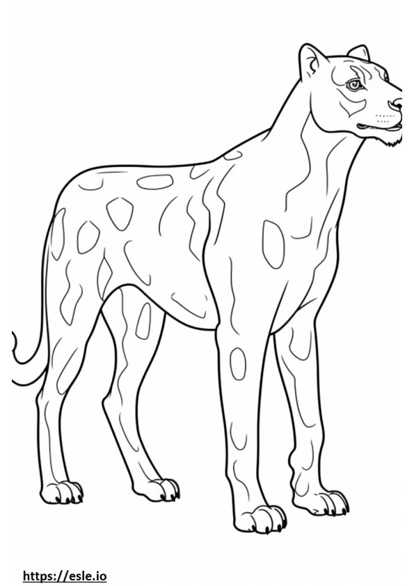 Catahoula Leopard full body coloring page
