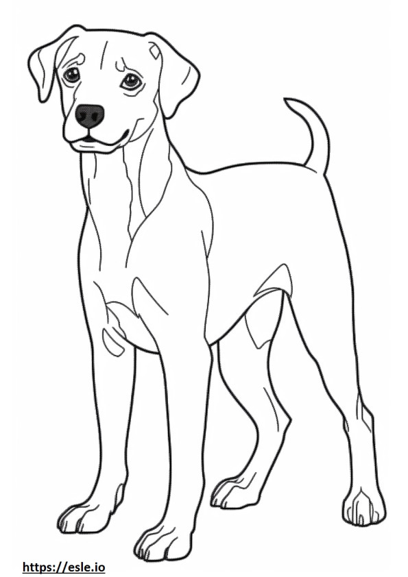 Coloriage Bébé Parson Russell Terrier à imprimer