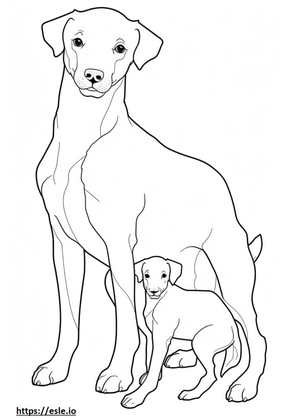 Parson Russell Terrier baby coloring page