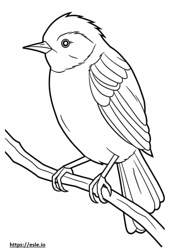 Fairy-Wren cartoon coloring page