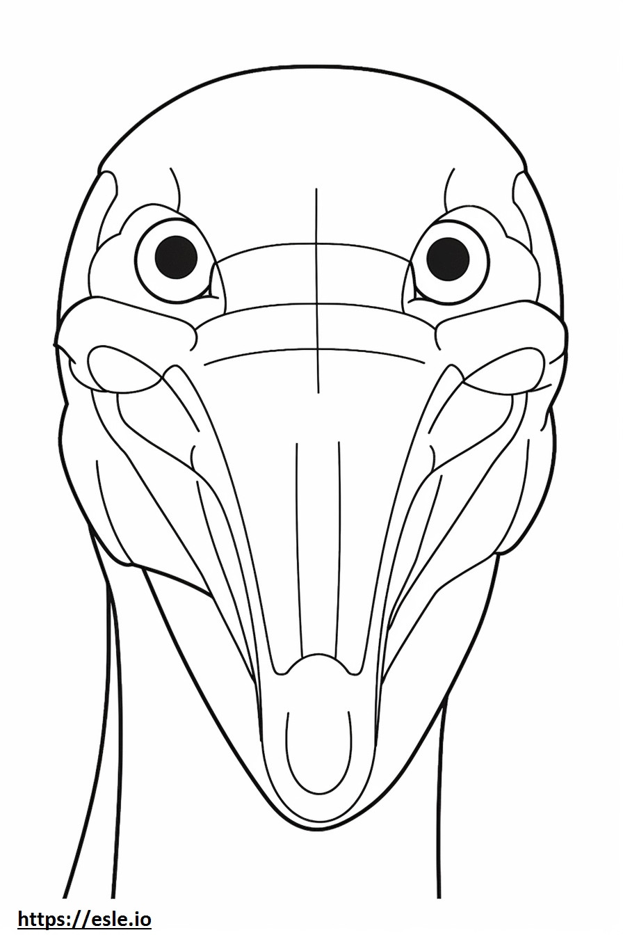 Anhinga face coloring page