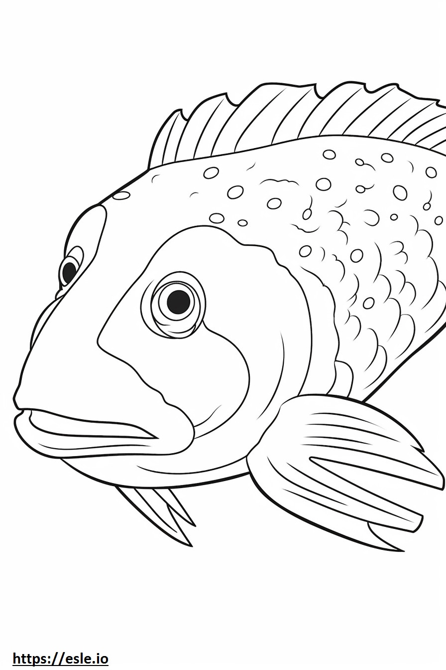 Blue Eyed Pleco face coloring page