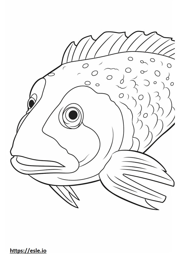 Blue Eyed Pleco face coloring page