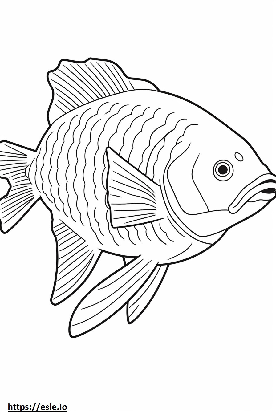Bonefish fofo para colorir