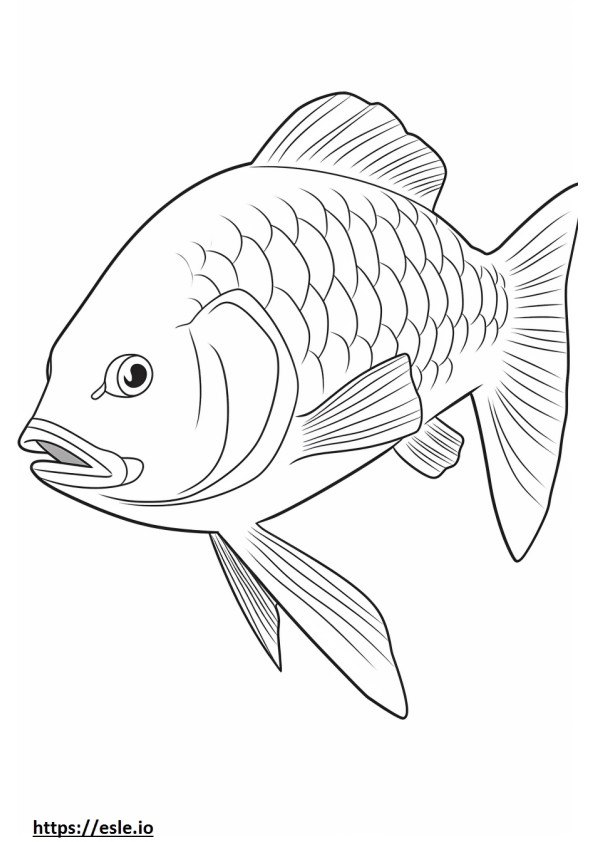 Bonfish söpö värityskuva