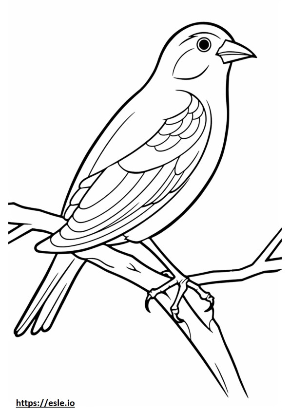 Red-winged blackbird Playing coloring page