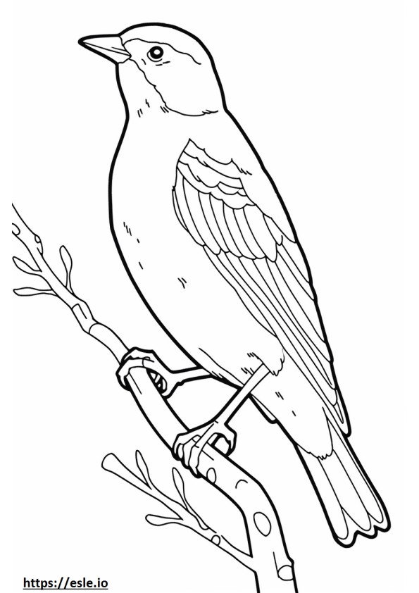 Red-winged blackbird Playing coloring page