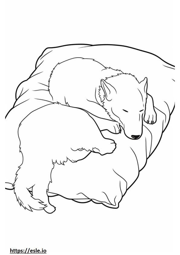 Terrier Japonês dormindo para colorir