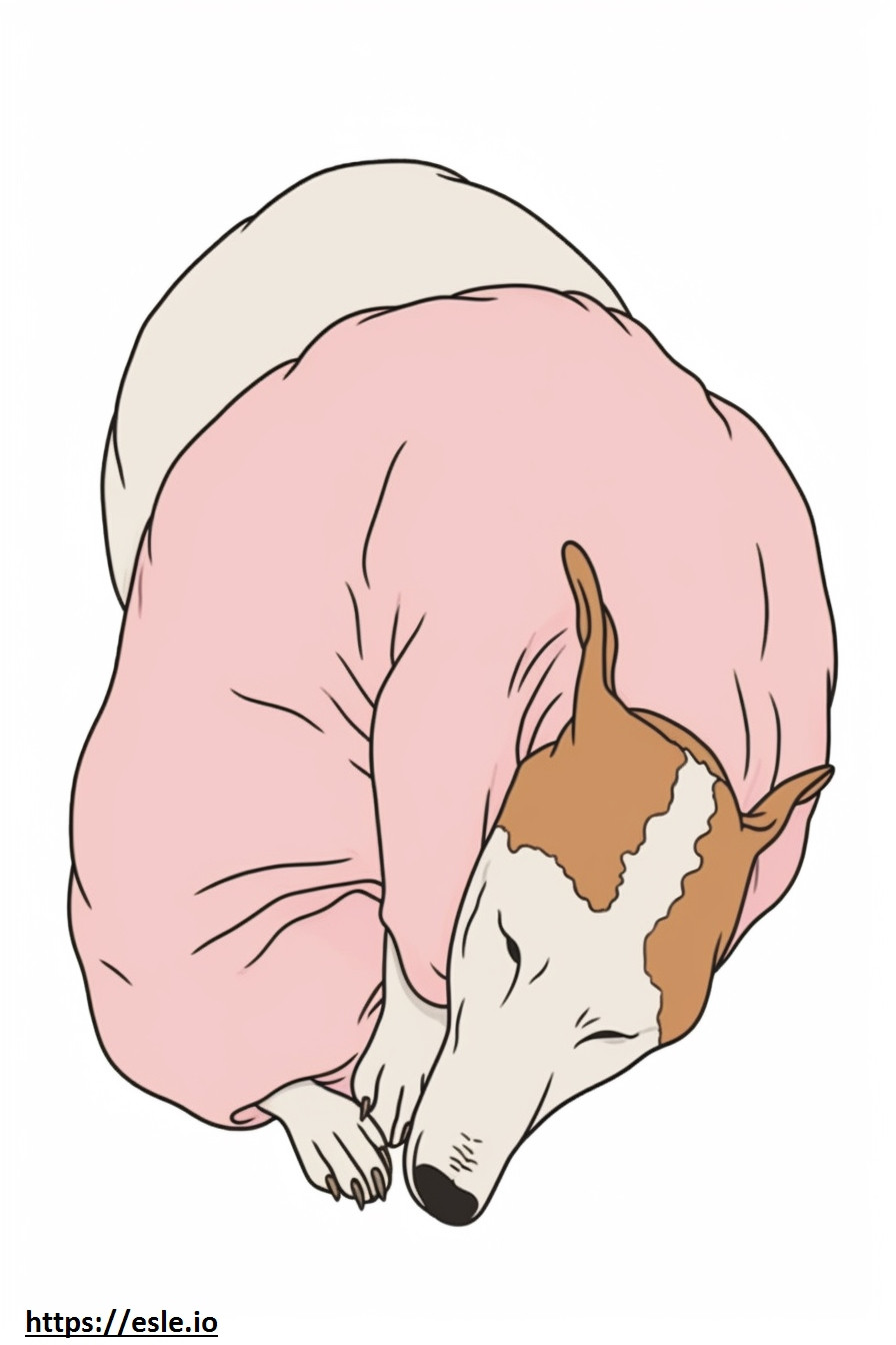 Japanischer Terrier schläft ausmalbild