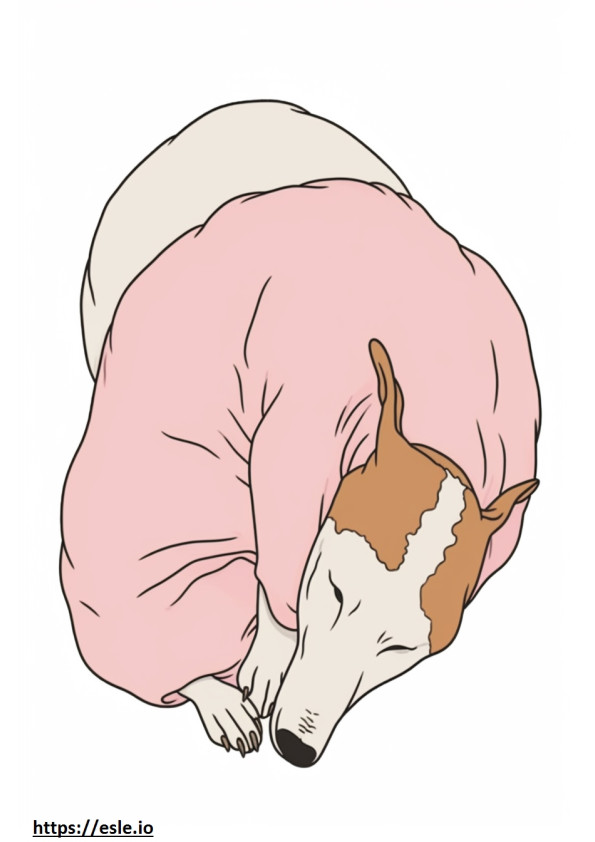Terrier Japonês dormindo para colorir