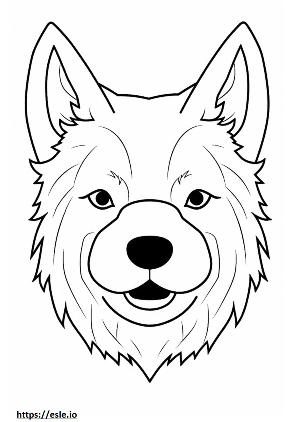 Cara de Norwich Terrier para colorir
