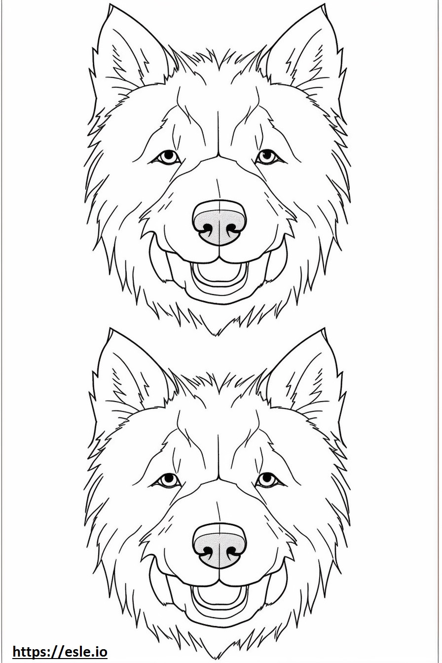 Norwich Terrier face coloring page
