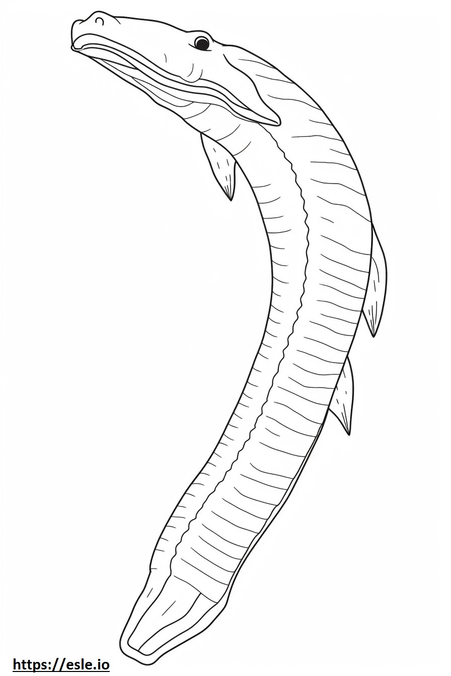 Lungfish full body coloring page