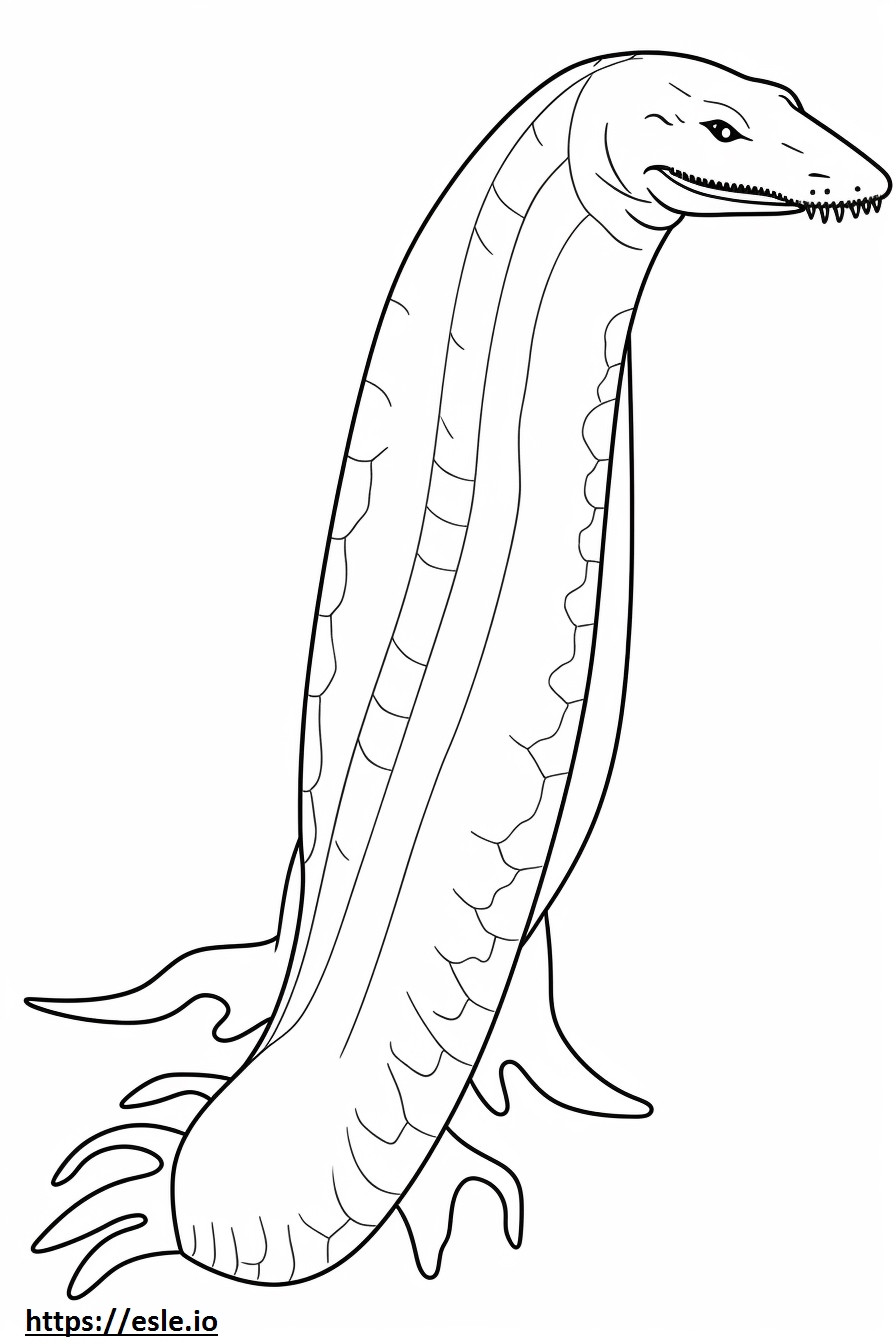 Lungfish full body coloring page