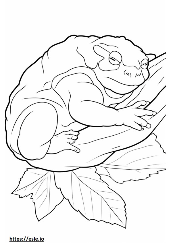 オークヒキガエルの睡眠 ぬりえ - 塗り絵