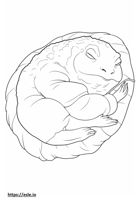 Oak Toad Sleeping coloring page