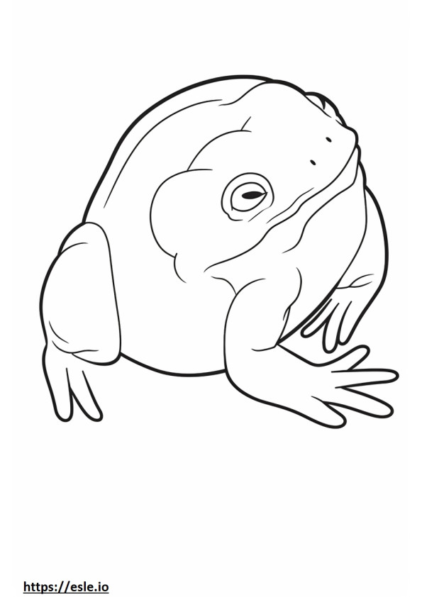 African Clawed Frog cute coloring page