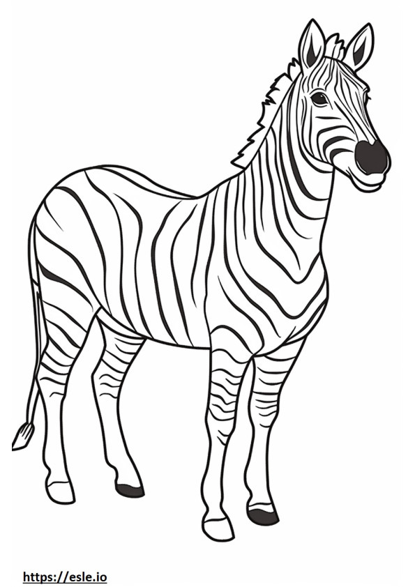 Zebra Dostu boyama