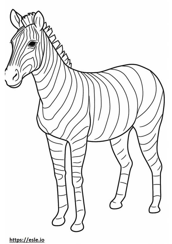 Zebrabarát szinező