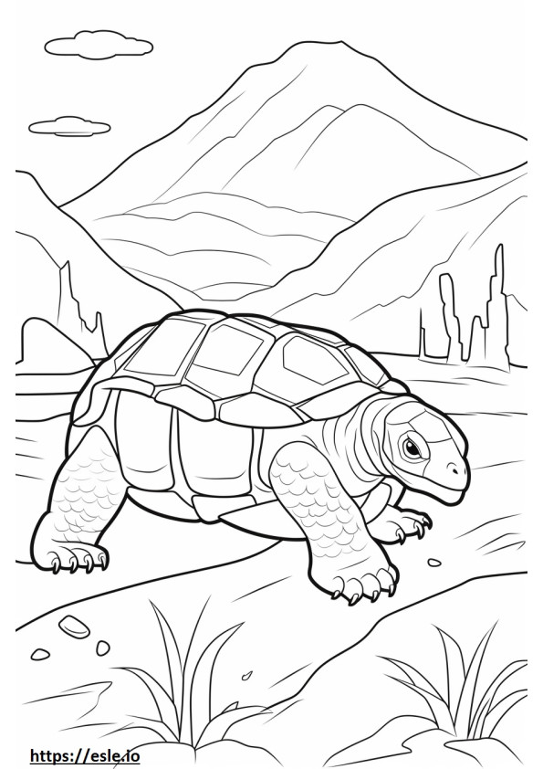 Tartaruga de Galápagos brincando para colorir