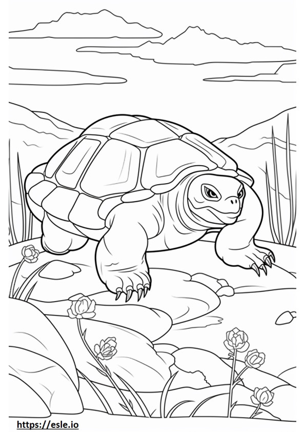 Galapagos-Schildkröte beim Spielen ausmalbild