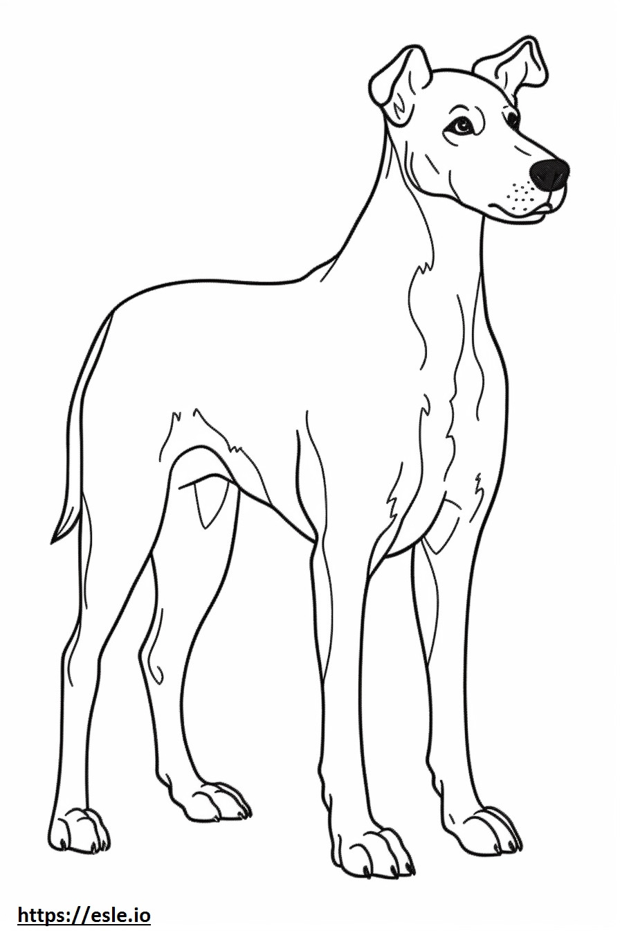 Coloriage Caricature de Fox Terrier lisse à imprimer