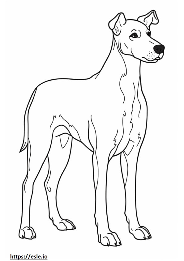 Desenho animado de Fox Terrier liso para colorir