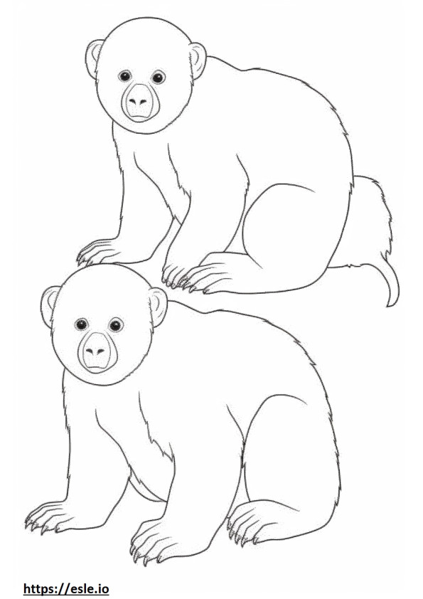 Bebé capuchino de cara blanca para colorear e imprimir
