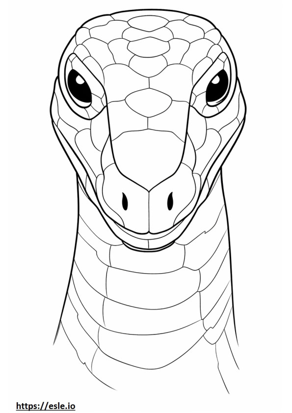 Nose-Horned Viper Friendly coloring page
